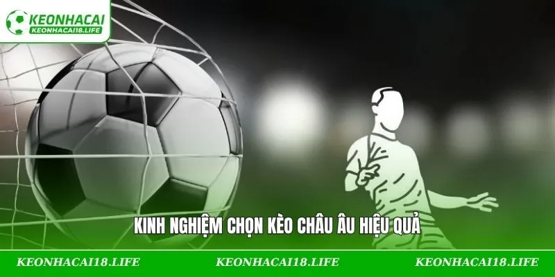 Kinh nghiệm chinh phục tỷ lệ châu Âu đặc sắc